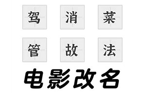 信贷精准直达 银行搭建全球南方资金融通桥梁