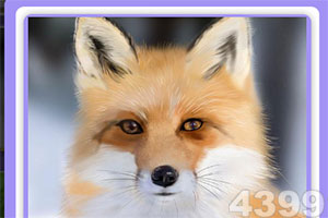 A8宾贵宾会体育娱乐APP/手机APP下载截图3