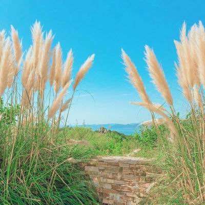 19九鼎棋牌APP免费下载官方版