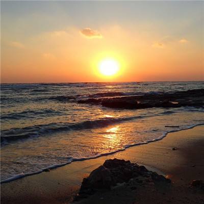 米乐体育娱乐下载APP/手机APP下载