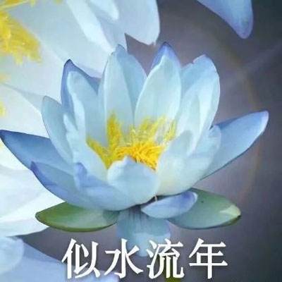 外电军情|西媒讽特朗普：“美国优先”帮普京走出困境