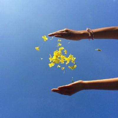 梦想小镇破解版