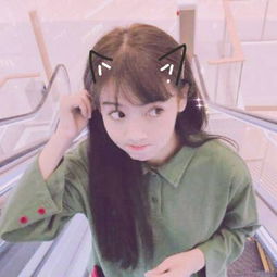 重装上阵破解版