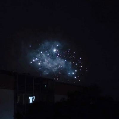 经过多次延宕后 欧盟议员批准对美贸易协议