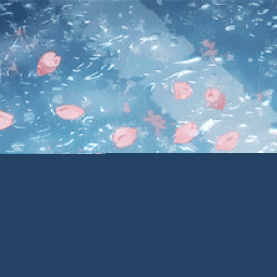 中海积极增利混合净值上涨3.55%