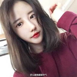 奥特曼钢铁飞龙