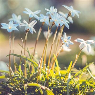 联合国报告称美国有4000万人贫困 美主持人凌乱了