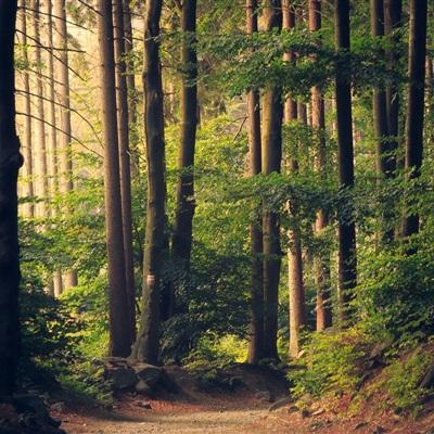 熬夜后的3个补救方法