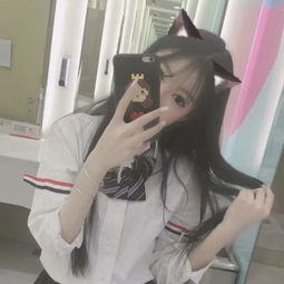 低估值叠加高股息 23只股防御价值凸显