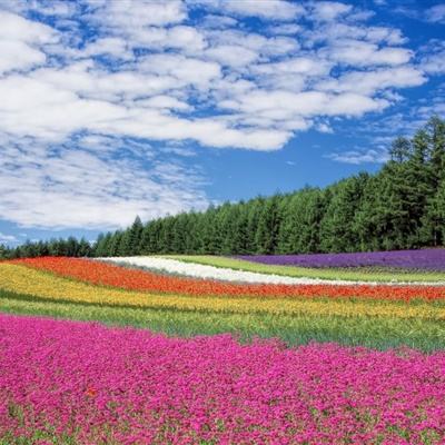 摸金校尉之伏魔殿