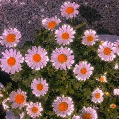 开元ky888官方渠道
