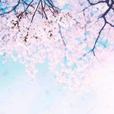 领航新质——李振宇荣膺CAIMRS年...