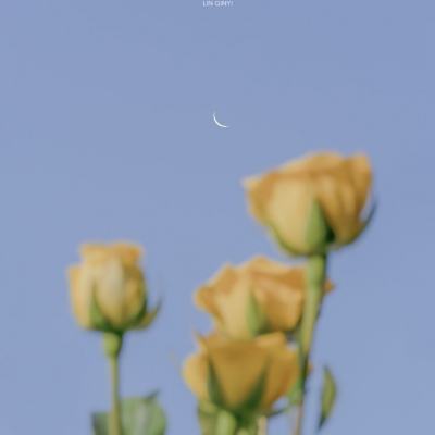 吉比特：2025年净利润同比增长89.82% 拟10派70元