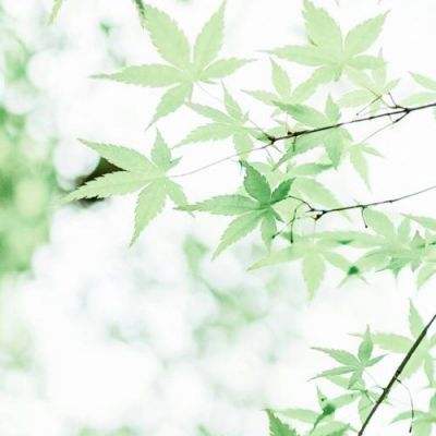 如何判断自己的心脏状态好不好