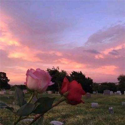 黄仁勋称所有大学毕业生都应该成为AI专家