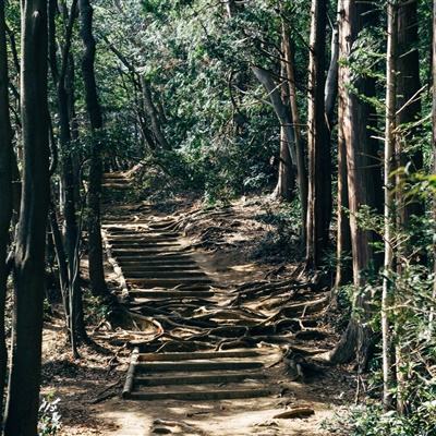 拆解海底捞最新财报：利润降了，底气却更足了