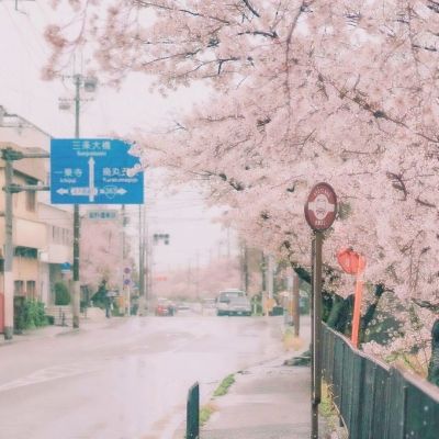 信彩彩票娱乐下载app/手机app下载