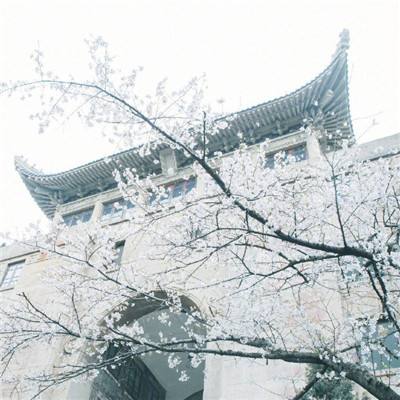 九州异闻录2020红包最新版