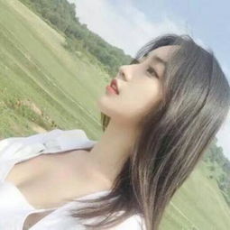 顶盛体育