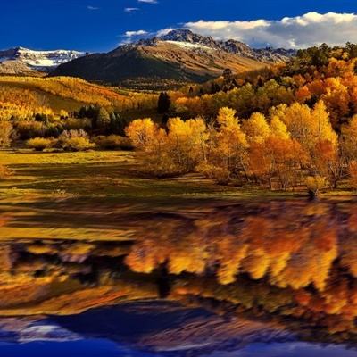 黄金正重演“2008年剧本”？华尔街大鳄看涨至11400美元！