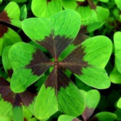 环旭电子股份有限公司关于认购的私募基金完成备案的公告