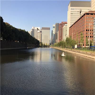 骗贷超6.6亿元 涉金融领域犯罪嫌疑人张某潜逃境外三年后被押解回国