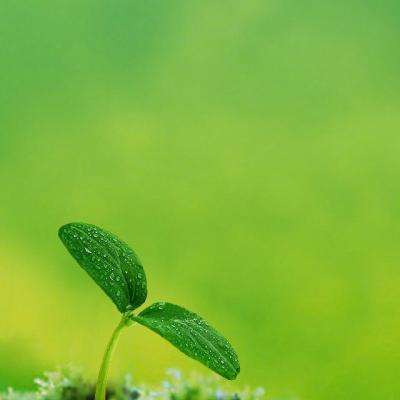 摩根大通CEO戴蒙：伊朗战争长期来看是好事