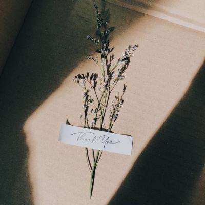 绿茵传奇