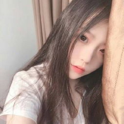 尼得科电机（大连）有限公司荣耀...