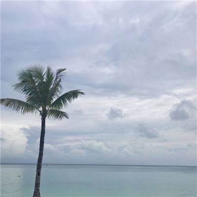 黎明风暴满v版