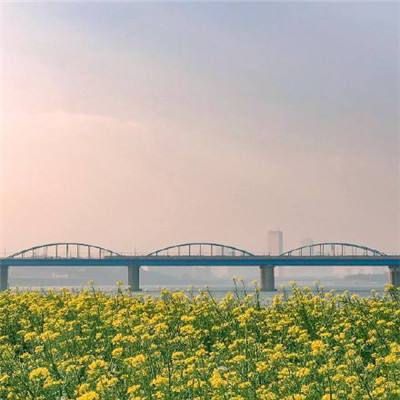 银河入口app