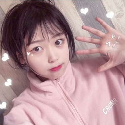 ya博体育app官网入口