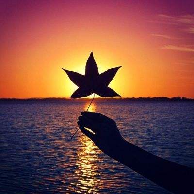 衢州市应急管理系统2025年第四季度 安全生产违法行为典型案例通报