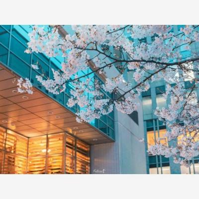 2号平台（官方）综合娱乐APP下载-AppleAppStore 正版手游app