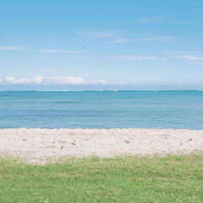 ob体育平台入口截图