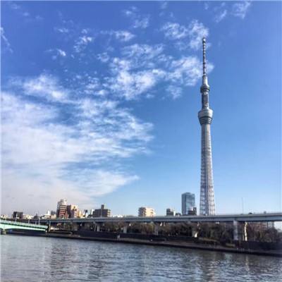 558cc彩票APP官网版下载截图1