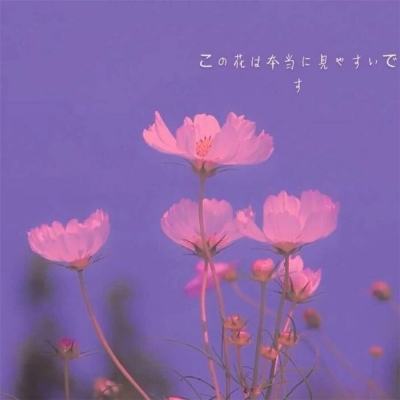 巴基斯坦确认将购买2艘054A护卫舰 3年内4艘