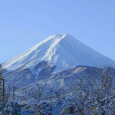 感知决策,驱动未来 | 检测、控...
