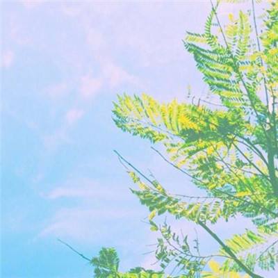 报告发现:AI 与机器人程序已正式接管互联网