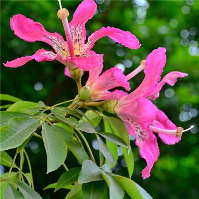 y1体育娱乐APP/手机APP下载