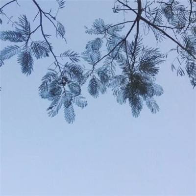 伟德体育官方网站入口相关推荐1