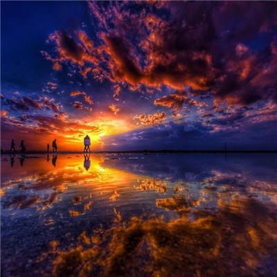 LS电气闪耀2026中国自动化+数字...