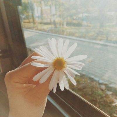 西部又一家城商行资产规模突破万亿