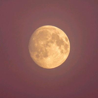 现货黄金失守4490美元/盎司，日内跌0.38%。