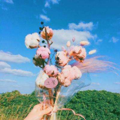 地面生存正式版