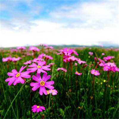 亿金娱乐入口截图