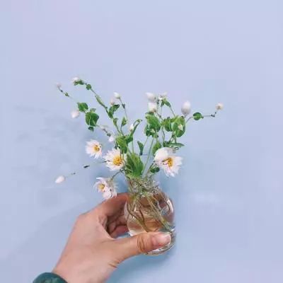 博盈体育娱乐APP/手机APP下载