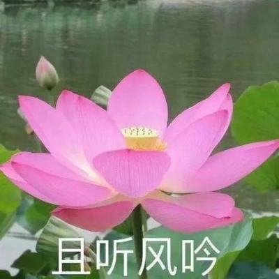 复杂测针这样配，测量效率提升 1...