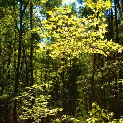 易发体育app娱乐手机版