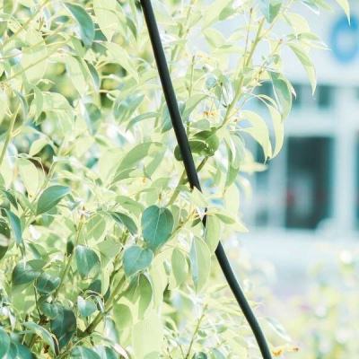 汉光演习正式开场 少将带头跳伞恢复演习训练